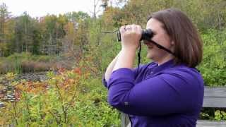 How to get crystal clear focus with your binoculars [upl. by Rinum]