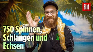 Python im Kinderzimmer – Patrick hat einen privaten ReptilienZoo [upl. by Guidotti252]