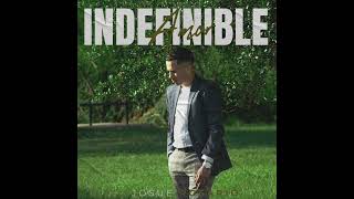 Josue Rosario  Medley De Coros  Official Audio Indefinible Amor Album [upl. by Kho]