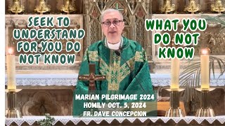 SEEK TO UNDERSTAND FOR YOU DO NOT KNOW WHAT YOU DO NOT KNOW  Homily by Fr Dave Concepcion [upl. by Nennek842]