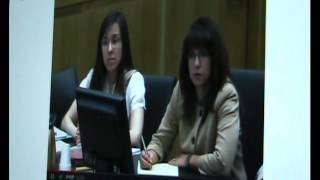 Juan Martinez Owns Alyce LaViolette  Jodi Arias Trial Battered Woman Witness [upl. by Pruchno]