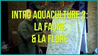 Introduction à lAquaculture avec la Permaculture 2 La Faune et la Flore [upl. by Hareehat345]