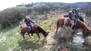 Gredos a caballo  Hoyos del Espino [upl. by Draned145]