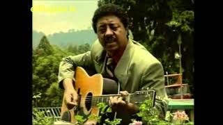 Mesfin Abebe  መስፍን አበበ [upl. by Leahcimluap]