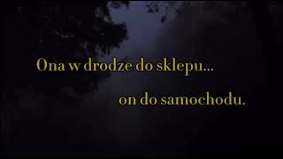 Wisława Szymborska Perspektywaquot [upl. by Shornick]