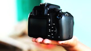 Best DSLR Cameras for Beginners in 2024 Affordable amp Easy to Use [upl. by Susanne]