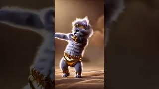 King cat cat cute catdancer catlover cutecat cutecatdancing [upl. by Llibyc]