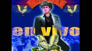 Porque Te Vas De Mi  Valentin Elizalde [upl. by Eenel]