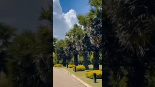 Dry zone botanical garden 🥰💖 friends nature life nature srilanka travelvlog trending [upl. by Kenna]