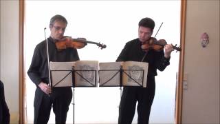 Bach concerto for Two Violins in D minor BWV 1043 [upl. by Rahsab]