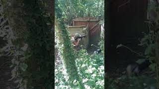 Airsoft game play at Worthing Airsoft  airsoftgameplay airsoftshorts airsoftsport airsofting [upl. by Ahsrav]