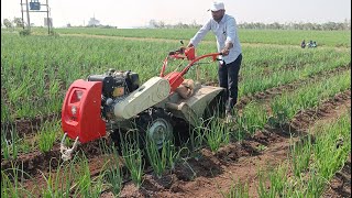 VST 9 HP Power Tiller Using in farm  Dandawate Tractors  dandwatetractors powertiller [upl. by Ibbob2]