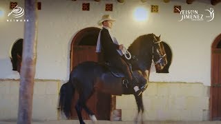 El Mejor Caballo  Yeison Jiménez Video Oficial [upl. by Riti]