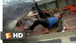 Jaws The Movie That Traumatized An Entire Generation [upl. by Adnotal]