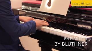 Bluthner Digital Pianos [upl. by Aan]