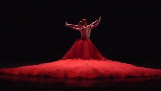 The Australian Ballet 2016 YouTubeRewind [upl. by Bekha]