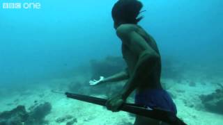 ‪Superhuman Filipino diver from the Badjao tribe BBC [upl. by Ewold]