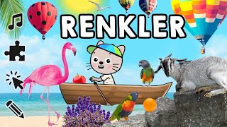 Renkler Şarkısı Etkinlikler Renklerin Karışımı [upl. by Androw578]