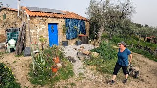 DIY Shed 3  THIS IS GOING TO BE A CHALLENGE  Off Grid Homestead [upl. by Ximenez]