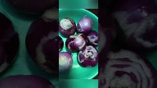 Erra karam idllydosabonda food foodrecipe prameela videosvolgas comedy musicvideos [upl. by Alset]