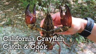 California Crayfish Catch and Cook [upl. by Eidok444]