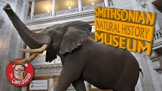 Smithsonian Museum of Natural History  Full Tour [upl. by Edrock578]