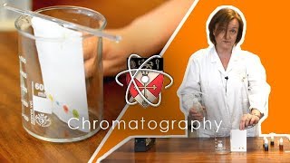 Chromatography  GCSE Science Required Practical [upl. by Christianna]