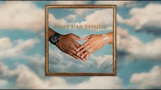 GIMS  Sois pas timide Official Lyrics Video [upl. by Itirp387]