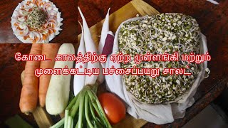 சமைக்காமலே ஒரு அருமையான சைட் டிஷ் weight loss saladfor rice amp chapathidiet saladடயட் சாலட் [upl. by Bradwell138]