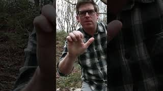 Creating your clawhammer Using nature to make the perfect claw for playing banjo [upl. by Kass]