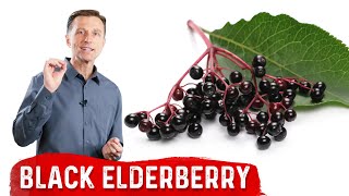 The Amazing Benefits of Black Elderberry [upl. by Millman919]