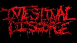 Intestinal Disgorge  Everlasting Fractal Nightmare 2018 Full Album Brutal DeathGoreNoisegrind [upl. by Woolson]