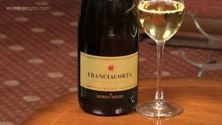 Borgo Regio Franciacorta Brut wine review [upl. by Enyaw525]