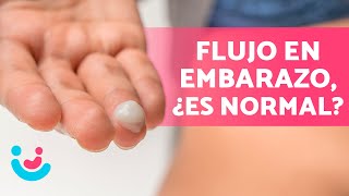 ¿Qué SIGNIFICA el FLUJO durante el EMBARAZO 🤰💧 ¿Es normal ¿Cuándo debo preocuparme [upl. by Krid17]