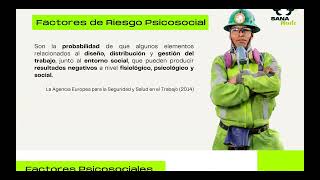 Evaluación de Factores de Riesgos Psicosociales 2024 [upl. by Rhine368]