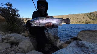 Twin Lakes Bridgeport Trout Bank Fishing Wide Open Bite [upl. by Catherina]