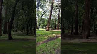 Bosque de chapultepec México [upl. by Fowkes]