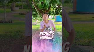 Nyolong Mangga 🥭 [upl. by Dane82]