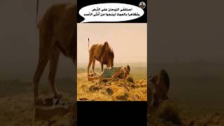 استلقى الزوجان على الأرض وتظاهرا بالموت لينجوا من أنثى الأسد Shorts فلم movie قصة film ملخص [upl. by Atlante]