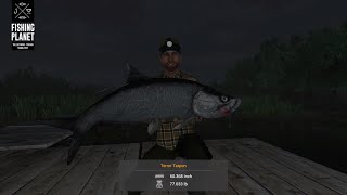 Terror Tarpon Monster Fish Guide At The Everglades Fishing Planet [upl. by Aihsetal]