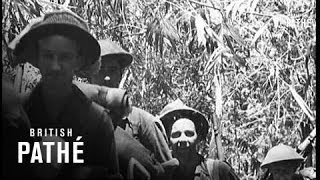 With The Australians In New Guinea 1943 [upl. by Vardon]