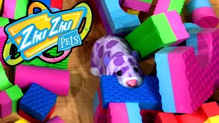 Zhu Zhu Pets Smashing Everything for 5Minutes Straight [upl. by Arimak]