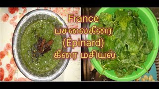 பசலை கீரை மசியல்Pasalai keerai masial in tamil  France épinard pasalai keerai sittan special [upl. by Jolene379]