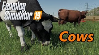 Farming Simulator 19 Tutorial  Cows [upl. by Saleem]