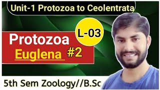 Protozoa L03Euglena Viridis2NutritionRespiration LocomotionampReproduction5th Sem Zoo Unit1 [upl. by Landau]