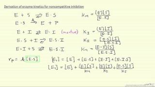 Derivation of Enzyme Kinetics for Noncompetitive Inhibition [upl. by Tnarg14]