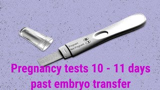 10 11 Days post embryo transfer pregnancy tests and BETA [upl. by Enilram]