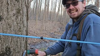 Tapping Maple Trees 2024 ep 172 [upl. by Ajan]