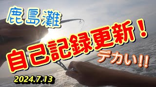 【鹿島灘サーフ】自己記録更新の魚が釣れた🎣 [upl. by Alliuqal]