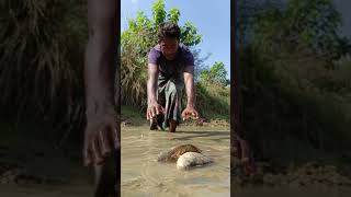 Big fish in the river shorts youtubeshorts fishing [upl. by Ayvid]